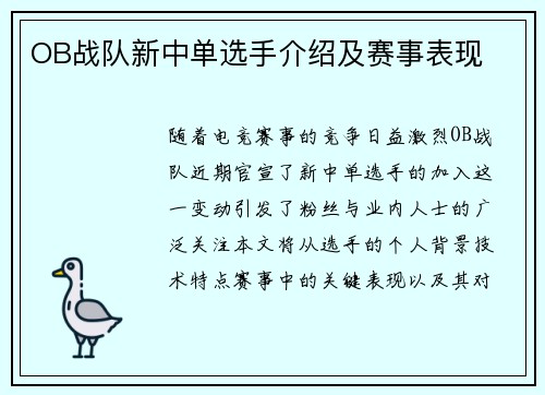 OB战队新中单选手介绍及赛事表现
